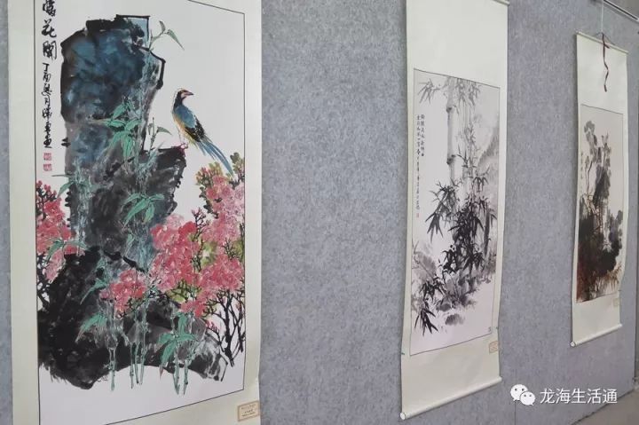 1518230402362043.jpg 7.jpg